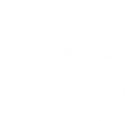 liquid-Instruments-logo-white